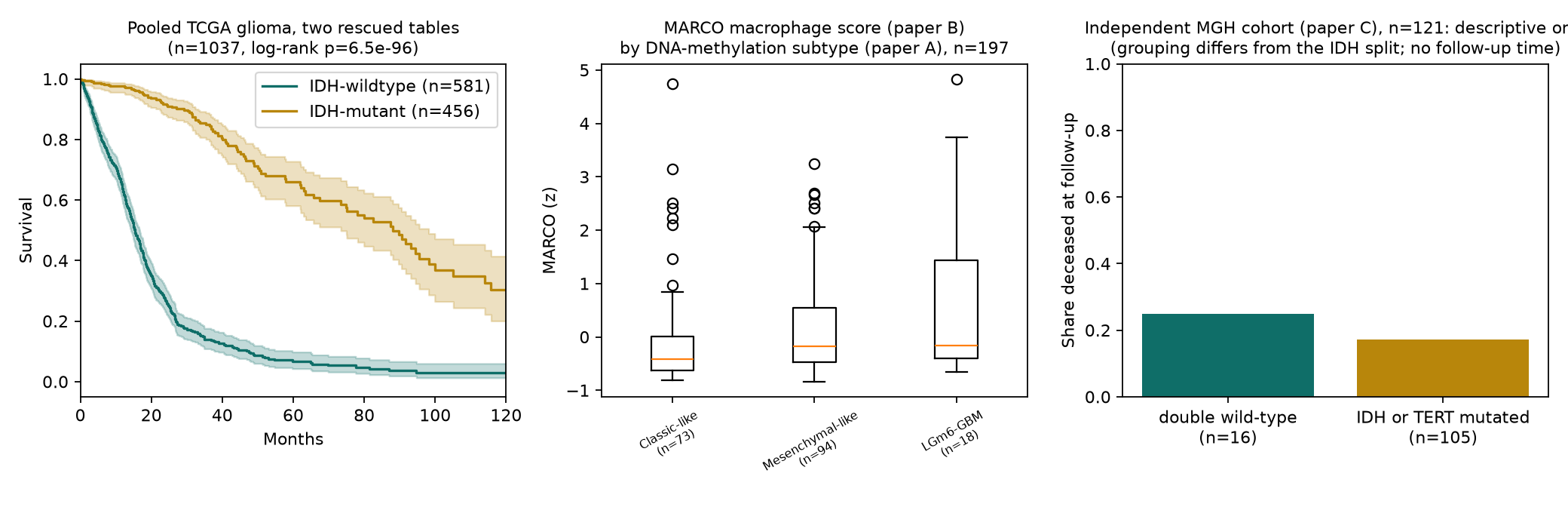 Three panels: Kaplan-Meier survival by IDH status in a pooled 1,037-patient cohort; MARCO macrophage score by DNA-methylation subtype; share deceased in an independent 121-patient cohort